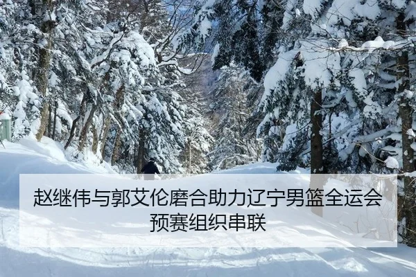 zhao-ji-wei-yu-guo-ai-lun-mo-he-zhu-li-liao-ning-nan-lan-quan-yun-hui-yu-sai-zu-zhi-chuan-lian-2-906.jpg