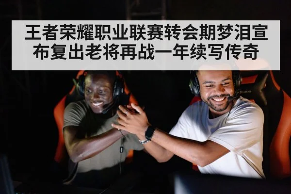王者荣耀职业联赛转会期梦泪宣布复出老将再战一年续写传奇