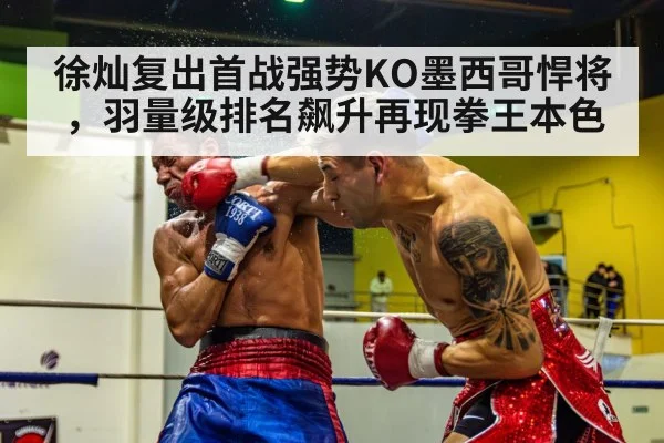徐灿复出首战强势KO墨西哥悍将，羽量级排名飙升再现拳王本色