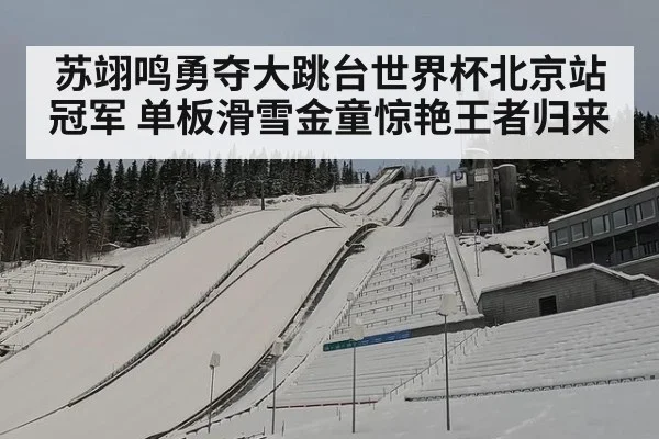 苏翊鸣勇夺大跳台世界杯北京站冠军 单板滑雪金童惊艳王者归来